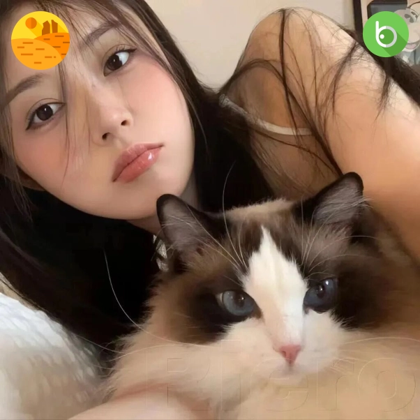 芒果体育用户头像三